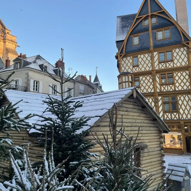 photo de la vraie neige sur les sapins et chalets de noël.  ©  co - anthony pasco