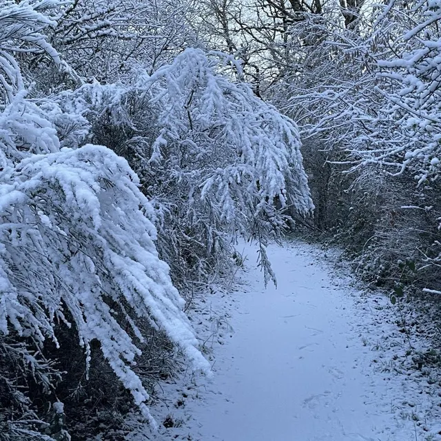 photo un chemin complètement enneigé dans le segréen.  ©  ouest-france