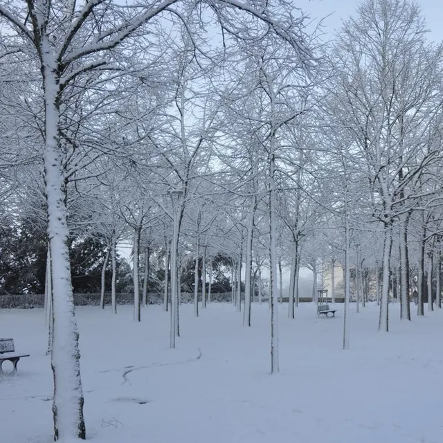 photo la neige à cholet.  ©  sandrine jouan