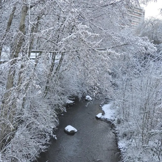 photo la moine et la neige à cholet.  ©  sandrine jouan