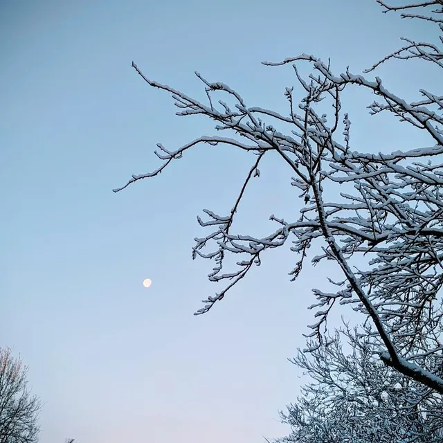 photo la neige à feneu.  ©  orianne laglaine