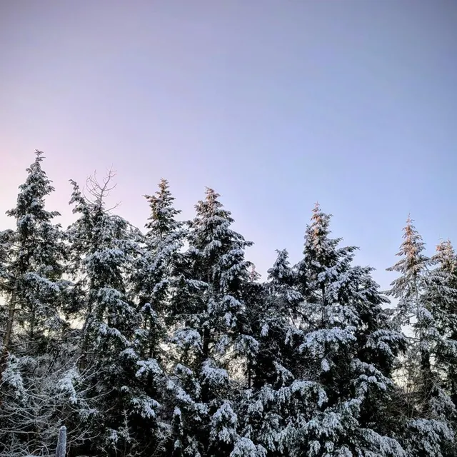 photo la neige à feneu.  ©  orianne laglaine