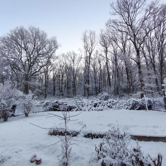 photo la neige à chênehutte-trèves-cunault.  ©  yoann georget