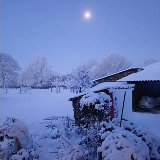 photo la neige à andrezé.  ©  benoit bouchet