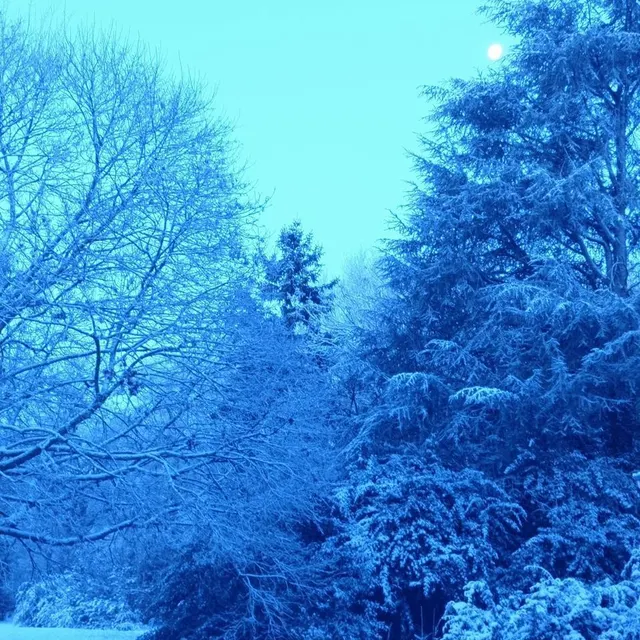 photo la neige à louvaines.  ©  jean-yves godde