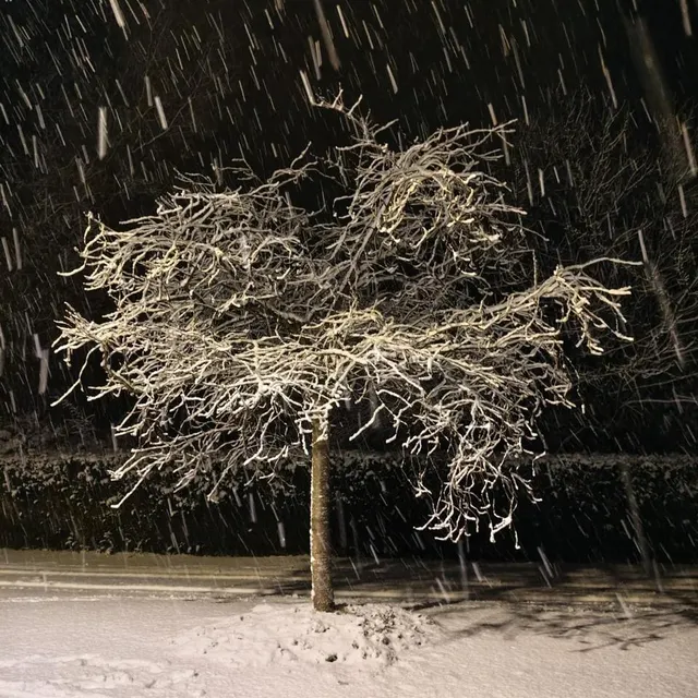photo la neige à soucelles.  ©  florian bonnot