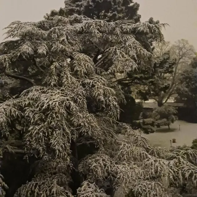 photo la neige à cholet.  ©  laure samson