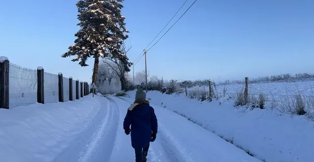 photo  le bocage du calvados a été très touché par la neige et le froid, ces 5 et 6 janvier 2026  &copy;  ouest-france 