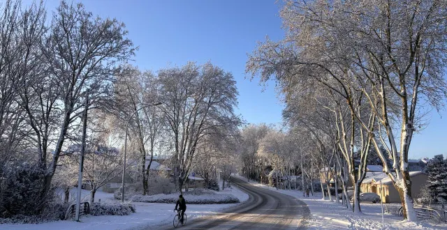 photo  la neige à chemillé (maine-et-loire), ce mardi 6 janvier 2026.  &copy;  ouest-france 