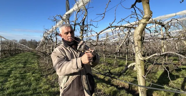 photo  secondigny, lundi 5 janvier. installé depuis 41 ans, eric michel n’avait pas observé un froid aussi persistant depuis une dizaine d’années. et c’est une bonne nouvelle pour son verger.  &copy;  co-fabien gouault 