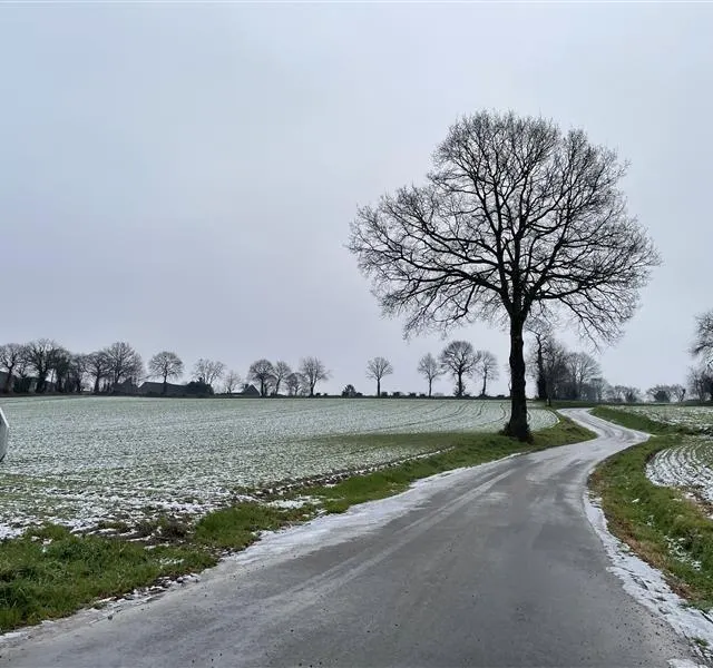 photo dans le sud-manche, la pluie a entièrement balayé la neige du côté d’avranches et de la baie. ce n’est que tout à l’est, un peu plus sur les hauteurs, qu’on en trouve des traces, comme ici dans un champ de juvigny-les-vallées.  ©  ouest-france