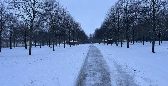 photo  le parc des promenades à alençon, sous la neige, mercredi 7 janvier 2026.  &copy;  ouest-france 