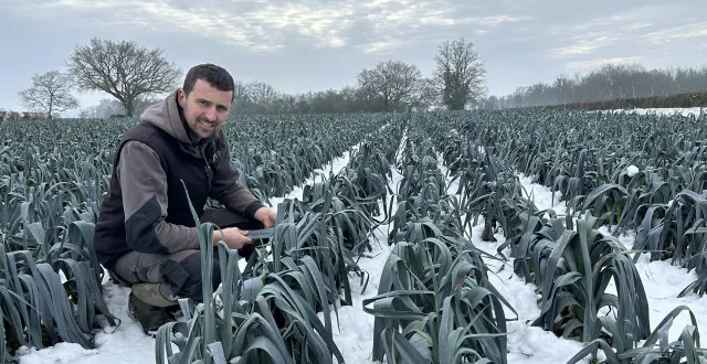 photo  tanguy renou, l’un des quatre associés du gaec des primeurs 49, à la poitevinière (beaupréau-en-mauges), inspectant les rangs de poireaux ce mercredi 7 janvier 2026.  &copy;  ouest-france 