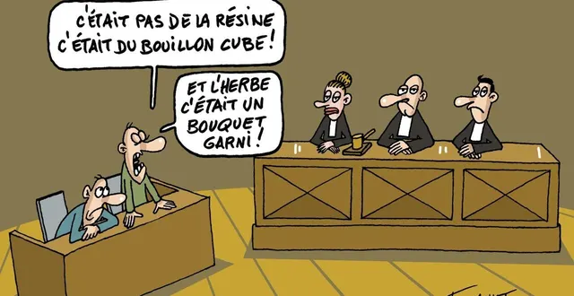 photo  les magistrats du parquet et du siège ont l’habitude d’en entendre des vertes et des pas mûres, à la barre.  &copy;  co - michel foucault 