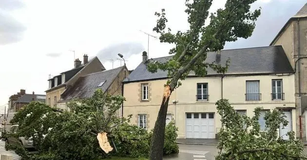 photo  des arbres détruits par la tempête ciaran, début novembre 2023, à argentan.  &copy;  archives ouest-france 