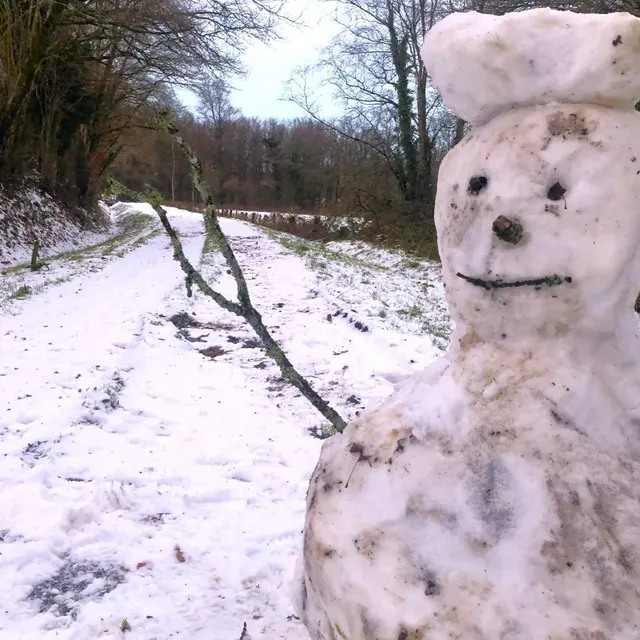 photo au détour d’un chemin, un bonhomme de neige accueille les promeneurs dans la forêt d’andaine, près de bagnoles-de-l’orne (orne).  ©  ouest-france