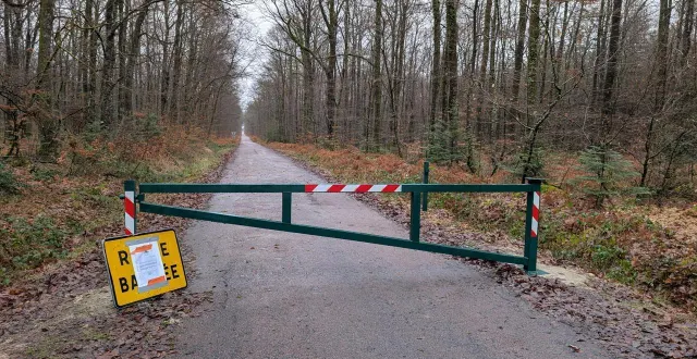 photo  la préfecture met en place des mesures comme ici à la forêt de bercé interdite d'accès.  &copy;  ouest-france 