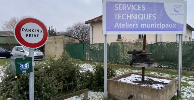 photo  jusqu’au 31 janvier, la commune propose de déposer les sapins de noël (naturels, sans décoration et fausse neige) au niveau du parking des services techniques communaux. ils seront ensuite donnés à des chèvres, qui en feront leur festin.  &copy;  ouest-france 