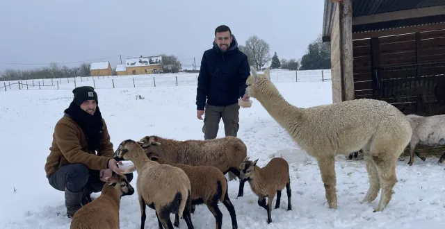 photo  saint-maixent, mercredi 7 janvier 2026. entourés d’animaux, antoine et bryan préparent l’ouverture de leur ferme au grand public.  &copy;  le maine libre 