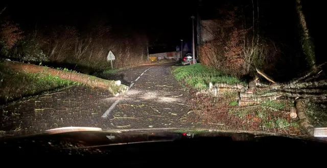 photo  les pompiers sont intervenus plus d’une centaine de fois dans l’orne, pour des arbres couchés en travers de la chaussée, comme ici à taillebois.  &copy;  kyllian frouel 