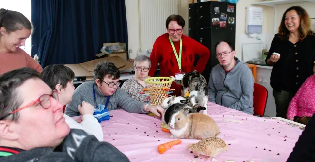 photo  arlette marcadé (pull rouge) et sandrine guérand aux côtés des résidents du foyer de vie la diversité. selon les situations, différents animaux participent aux séances de médiation.  &copy;  le maine libre 
