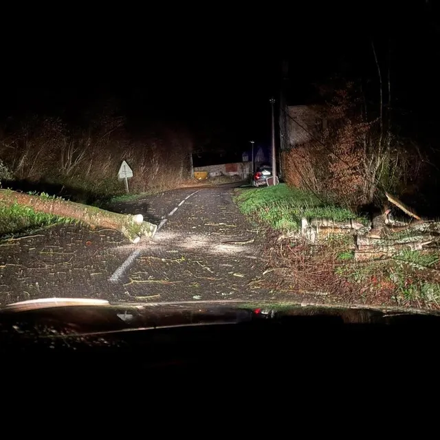 photo le premier arbre que kyllian a coupé, à taillebois (ça ne s’invente pas), ce vendredi 9 janvier 2026, en allant au travail.  ©  kyllian frouel