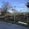photo plusieurs arbres sont tombés dans l’orne lors du passage de la tempête goretti.