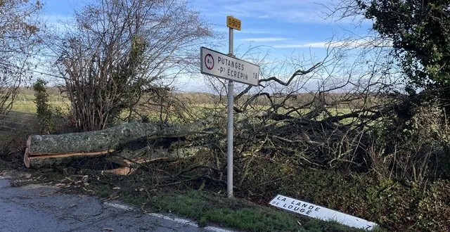photo  plusieurs arbres sont tombés dans l’orne lors du passage de la tempête goretti.  &copy;  ouest-france 