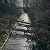 photo  plus d’une centaine d’arbres sont tombés sur les routes de l’orne lors du passage de la tempête goretti. 
