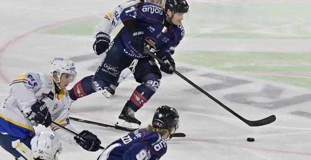 photo  kale kerbashian et les ducs d’angers n’ont pas tremblé vendredi face à chamonix.  &copy;  sebastien aubinaud 