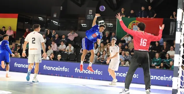 photo  face aux champions du monde en titre allemands, les bleuets se sont inclinés lors de leur dernier match du tournoi des 4 nations.  &copy;  archives philippe naudin 