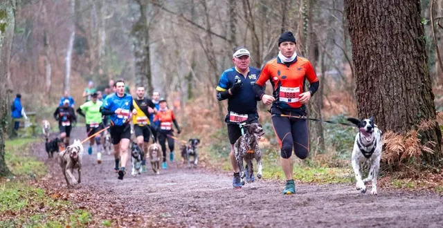 photo  210 équipages sont inscrits pour la compétition de canicross du cross ouest-france 2026.  &copy;  archives ouest-france/dominique breugnot photographer 