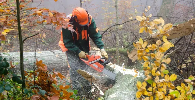 photo  les bûcherons et élagueurs d’angers loire métropole se sont mis en grève  &copy;  nj - stock.adobe.com 