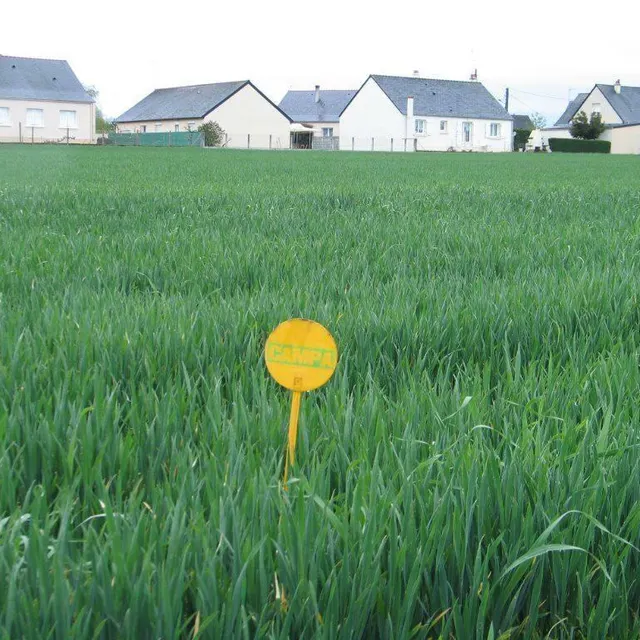 photo le bornage peut être effectué à l’amiable ou imposé par le tribunal judiciaire (photo d’illustration).  ©  archives co
