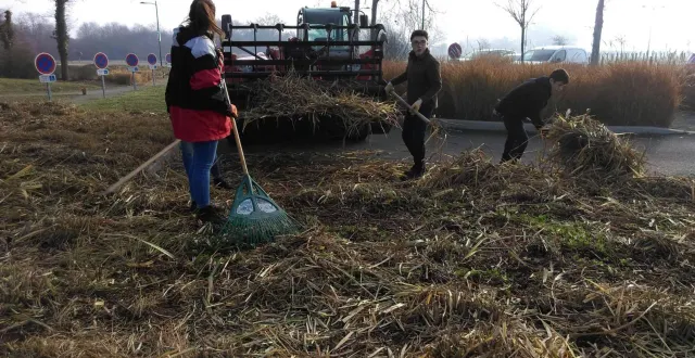 photo  *** local caption ***  beaufort-en-anjou les 3e en chantier école à terra botanica    &copy;  archives co 