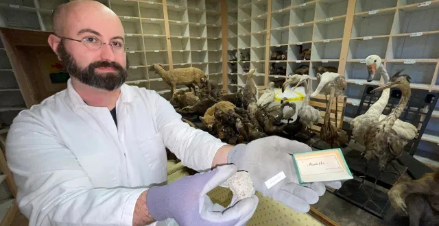 photo  hugo bordet présente la pierre étiquetée 