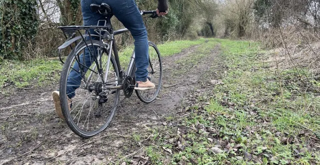 photo  un homme a été condamné par le tribunal judiciaire d’argentan, mardi 13 janvier 2026, pour avoir blessé une cycliste à putanges-le-lac.  &copy;  archives ouest-france 