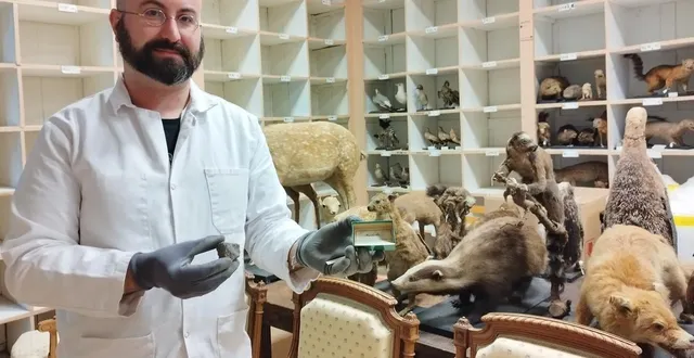 photo  hugo bordet, consultant pour hbconservation, conservateur préventeur de collections d’histoire naturelle, achève avec son équipe un chantier sur les collections géologiques du prytanée, après  avoir œuvré sur les collections zoologiques.  &copy;  ouest-france 