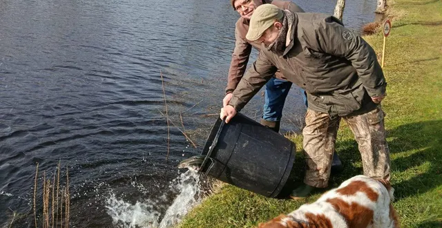 photo  un alevinage de truites est prévu en février.  &copy;  bruno leduc 
