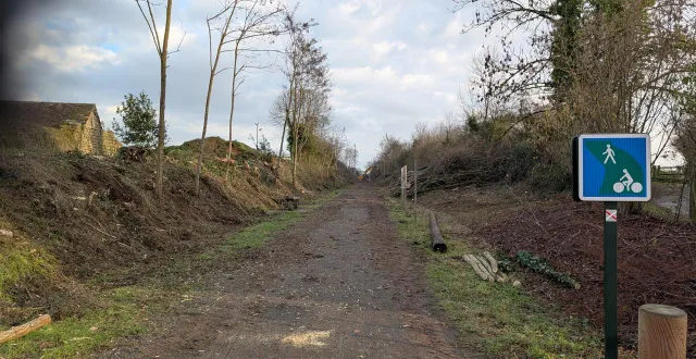 photo  la voie verte, côté mairie, mercredi 14 janvier : robiniers coupés, buissons supprimés, arbres élagués…  &copy;  ouest-france 