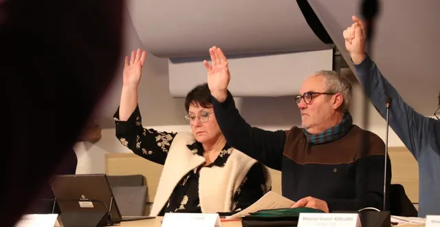 photo  jeudi 14 janvier, les conseillers de la communauté de communes des vallées du haut-anjou ont approuvé à l’unanimité la démarche globale et le plan d’action favorisant l’inclusion des enfants et jeunes en situation de handicap.  &copy;  ouest-france 