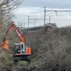 photo  dans le secteur de montrelais (loire-atlantique), les travaux de débroussaillage ont démarré début janvier 2026. 