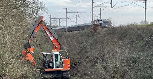 photo  dans le secteur de montrelais (loire-atlantique), les travaux de débroussaillage ont démarré début janvier 2026.  &copy;  ouest france 