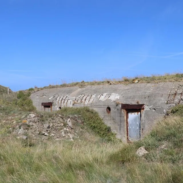 photo « il y a ces blockhaus allemands qui ont fleuri sur l’île ; on décide d’aller s’y réfugier. »  ©  archives ouest-france