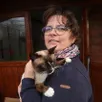 photo  fougeré, le 9 janvier 2026. marie lhuissier élève des chats de la race snowshoe. elle est ici avec son mâle reproducteur, univers de la lande étoilée. 