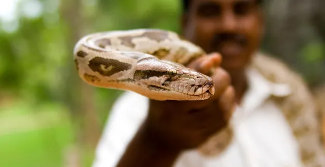 photo  « face à cet homme, mon sang ne fit qu’un tour… » photo d’illustration.  &copy;  vincent_ruf / getty images / istockphoto 