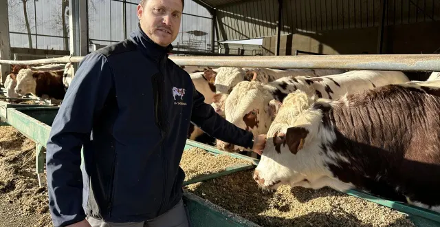 photo  tout comme d’autres éleveurs en sarthe, en 2026, lucas paris, installé à saint-martin-des-monts (sarthe), ne présentera pas de bovin au prochain salon de l’agriculture à paris. la faute à la dermatose nodulaire contagieuse.  &copy;  ouest-france 