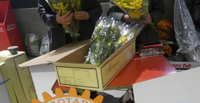 photo  les deux bénévoles ont proposé les bouquets de mimosa.  &copy;  ouest-france 