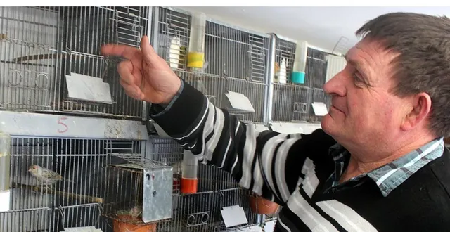 photo  jean-noël dronne invite tout un chacun à visiter la bouse aux oiseaux du 15 février, à la salle des fêtes de marigné-laillé.  &copy;  le maine libre 