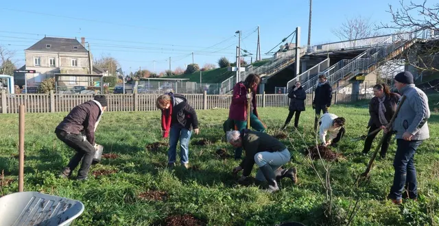 photo  comme ici à la ménitré, l’association des pics-verts participe à la plantation de nombreuses microforêts sur le territoire.  &copy;  archives co 